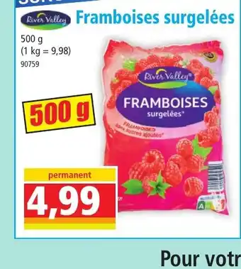 Norma Framboises surgelées offre