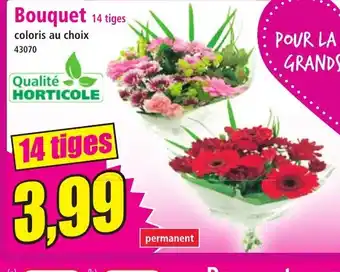 Norma Bouquet 14 tiges offre