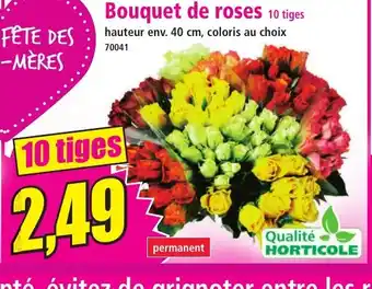 Norma Bouquet de roses 10 tiges offre