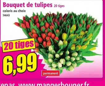 Norma Bouquet de tulipes 20 tiges offre