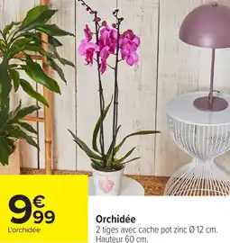 Carrefour Orchidée offre