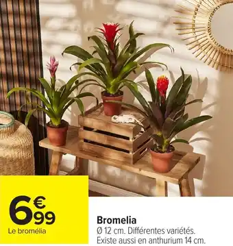 Carrefour Bromelia offre