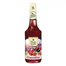 Carrefour MOULIN DE VALDONNE Sirop offre