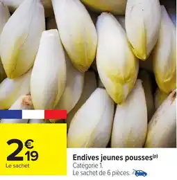 Carrefour Endives jeunes pousses offre