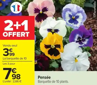 Carrefour Pensée offre