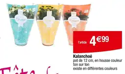 Carrefour Kalanchoé offre