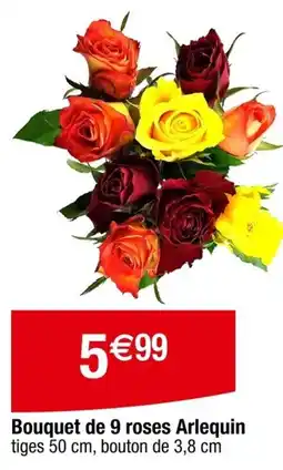 Carrefour Bouquet de 9 roses Arlequin offre