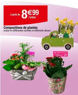 Carrefour Compositions de plantes offre