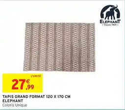 Intermarché Hyper Tapis grand format elephant offre