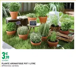 Intermarché Plante aromatique pot 1 litre offre