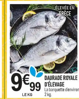 marché frais Géant Daurade royale d'élevage offre