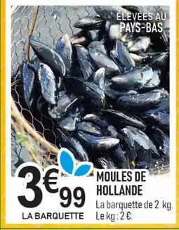 marché frais Géant Moules de hollande offre