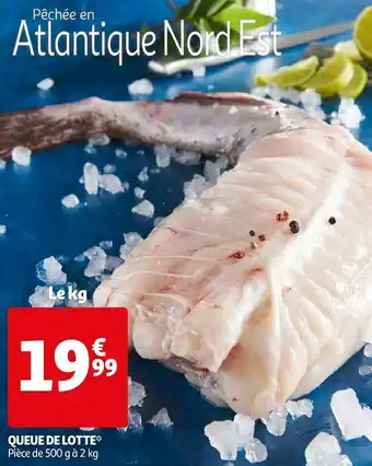 Queue de lotte
