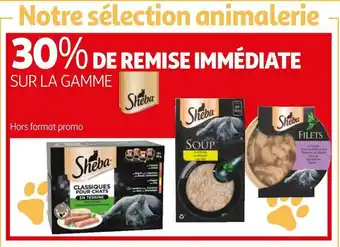 Sheba bon plan sur la gamme sheba