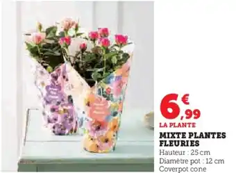 Hyper U Mixte plantes fleuries offre