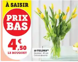 U Express 10 tulipes offre