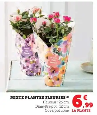 U Express Mixte plantes fleuries offre