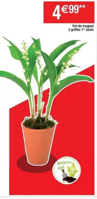 Cora x Carrefour Pot de muguet offre
