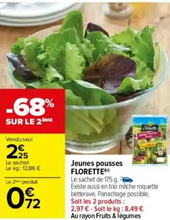 Carrefour Jeunes pousses FLORETTE offre