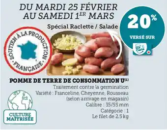 Super U U Pomme de terre de consommation offre