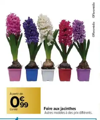 Carrefour Foire aux jacinthes offre
