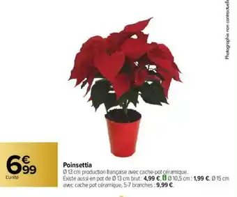 Carrefour Poinsettia offre