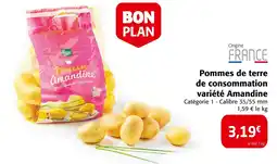 Colruyt Pommes de terre de consommation variété Amandine offre