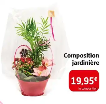 Colruyt Composition jardinière offre