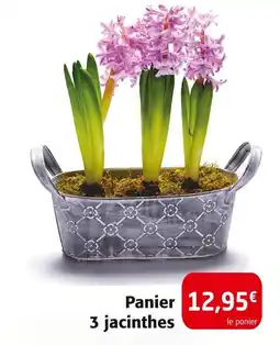 Colruyt Panier 3 jacinthes offre