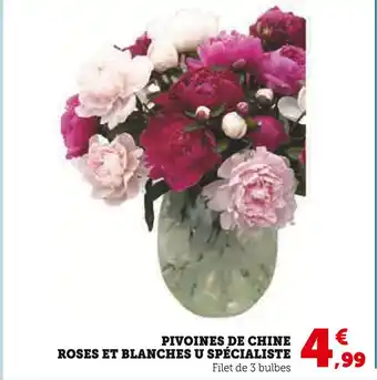 U Express U SPECIALISTE Pivoines de chine roses et blanches offre