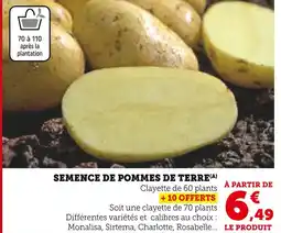 U Express Semence de pommes de terre offre