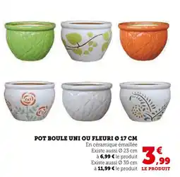 U Express Pot boule uni ou fleuri ø 17 cm offre