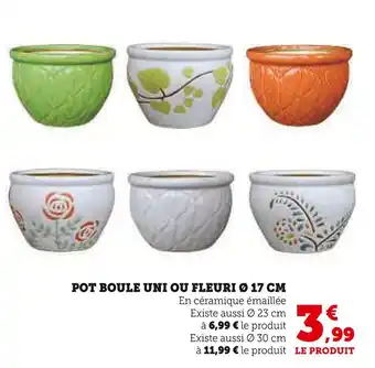 U Express Pot boule uni ou fleuri ø 17 cm offre