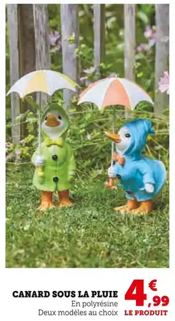 U Express Canard sous la pluie offre