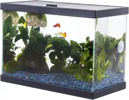 Jardiland PURE FAMILY Aquarium Fresh 35 start PURE FAMILY offre