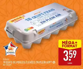 ALDI PICOTA 18 œufs de poules élevées en plein air offre