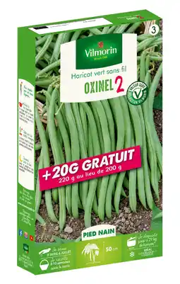 Jardiland Haricot vert Oxinel 2 Vilmorin offre