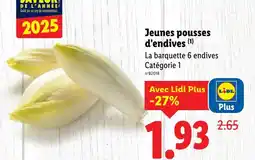 Lidl Jeunes pousses d'endives offre