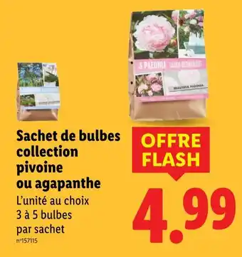 Lidl Sachet de bulbes collection pivoine ou agapanthe offre