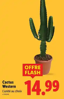 Lidl Cactus Western offre