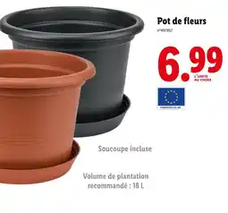 Lidl Pot de fleurs offre