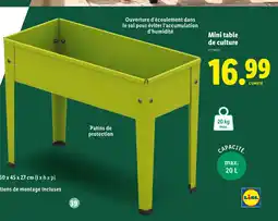 Lidl Mini table de culture offre