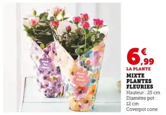 Super U Mixte plantes fleuries offre