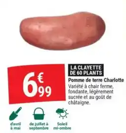 Gamm vert Pomme de terre Charlotte offre