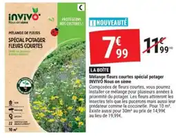 Gamm vert INVIVO Mélange fleurs courtes spécial potage Nous on sème offre