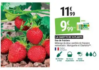 Gamm vert Duo de fraisiers offre