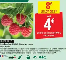 Gamm vert INVIVO Framboisier Nous on sème Rubus idaeus offre