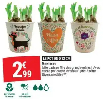 Gamm vert Narcisses offre