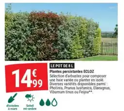 Gamm vert ECLOZ Plantes persistantes offre