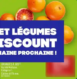 ALDI Oranges à jus offre